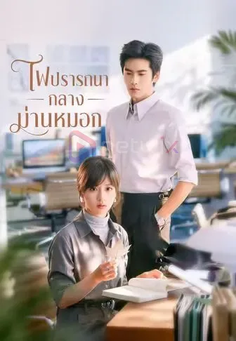 ไฟปรารถนากลางม่านหมอก โปสเตอร์