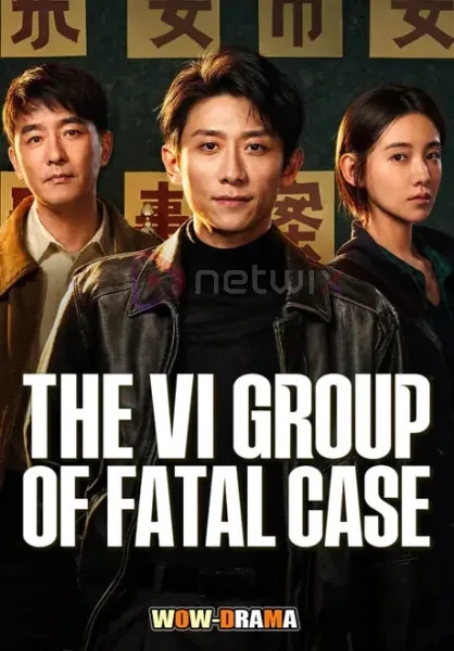 The VI Group of Fatal Cas ทีมล่าคดีเดือดรหัสที่หายไป โปสเตอร์