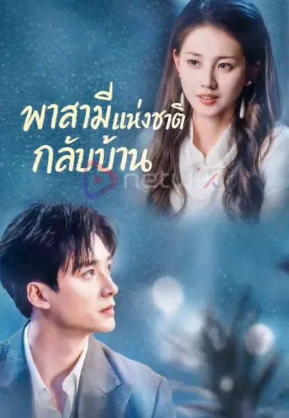 พาสามีแห่งชาติกลับบ้าน โปสเตอร์
