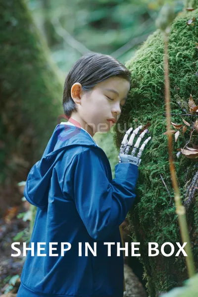 Sheep in the Box โปสเตอร์