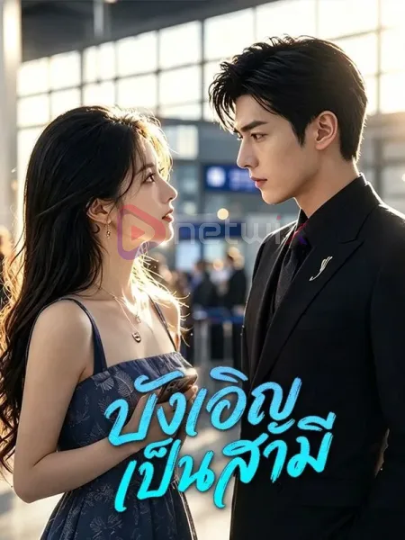 บังเอิญเป็นสามี โปสเตอร์