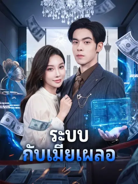 ระบบกับเมียเผลอ โปสเตอร์