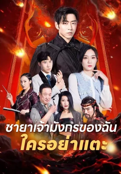 ชายาเจ้ามังกรของฉันใครอย่าแตะ โปสเตอร์