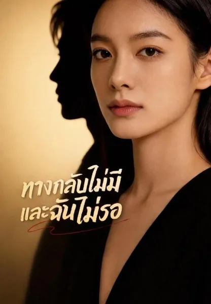 ทางกลับไม่มีและฉันไม่รอ โปสเตอร์
