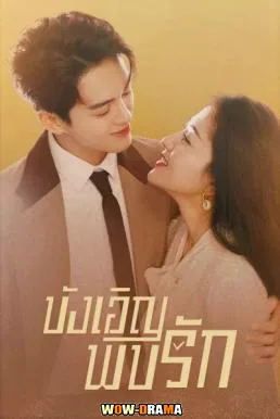 บังเอิญพบรัก (2022) Hi Venus พากย์ไทย EP.1-24 END โปสเตอร์