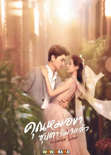Intense Love คุณหมอขา ซุบตาร์มาแล้ว ซับไทย EP.1-24 จบ โปสเตอร์