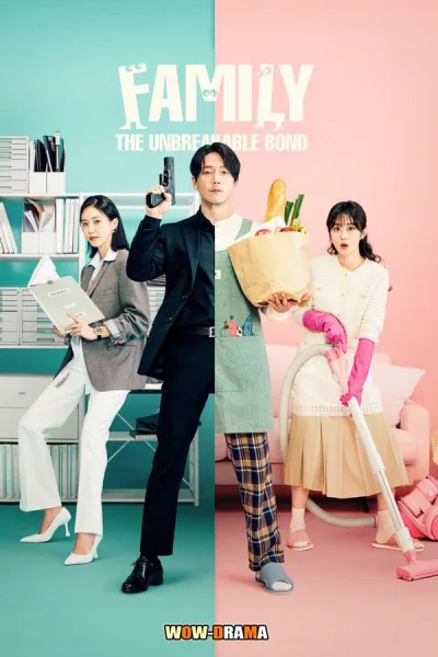 Family: The Unbreakable Bond โปสเตอร์