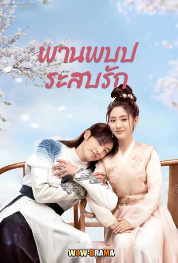 พานพบประสบรัก Love Is an Accident (2023) ซับไทย (จบ) โปสเตอร์