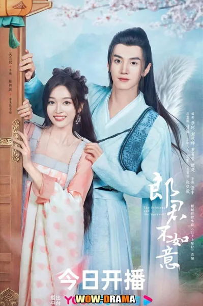 ท่านหลางจวินและองค์หญิง | ซับไทย ตอนที่ 1-30 โปสเตอร์