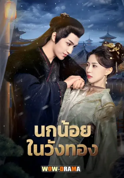 Love and Strife (2025) นกน้อยในวังทอง ซับไทย EP.1-24 END โปสเตอร์