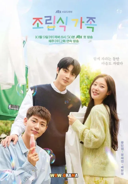Family by Choice (2024) ครอบครัวหัวใจลิขิตเอง โปสเตอร์