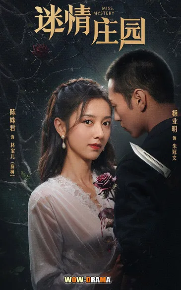 ปริศนาจำแลงรัก Miss Mystery (2023) | โปสเตอร์