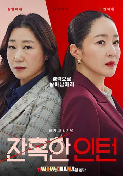Cold Blooded Intern (2023) พากย์ไทย EP.1-12 (END) โปสเตอร์