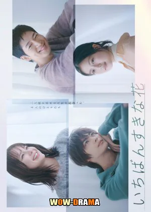 ญี่ปุ่น Ichiban Sukina Hana ดอกไม้ที่ไร้ช่อ ซับไทย (ครบทุกตอน) โปสเตอร์