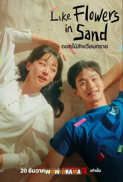Like Flowers in Sand ดอกไม้สังเวียนทราย ซับไทย EP.1-12 END โปสเตอร์