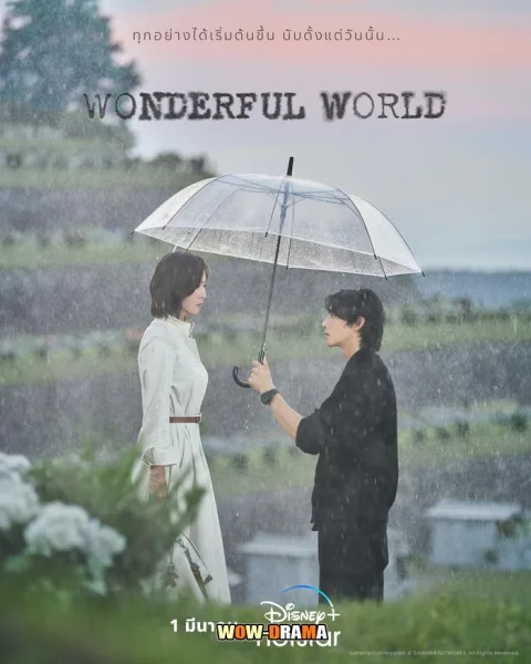Wonderful World (2024) ซับไทย EP.1-14 (END) โปสเตอร์