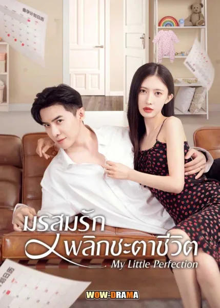 มรสุมรักพลิกชะตาชีวิต My Little Perfection (2024) โปสเตอร์
