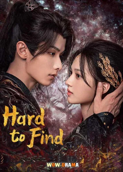 Hard to Find (2024) ผนึกรักใต้นครา โปสเตอร์