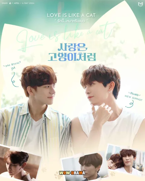 Love is Like a Cat รักนี้ หมาหรือแมว ซับไทย (ครบทุกตอน) โปสเตอร์