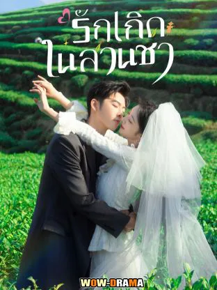 Love in the Tea Garden (2024) รักเกิดในสวนชา ซับไทย (END) โปสเตอร์