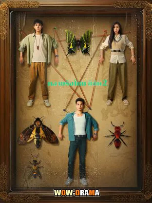 Insect Detective 2 (2024) ทลายรังไหม ซีซัน 2 ซับไทย END โปสเตอร์