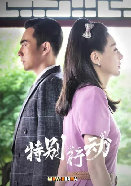 Special Tasks (2024) ซับไทย (เต็มเรื่อง) โปสเตอร์