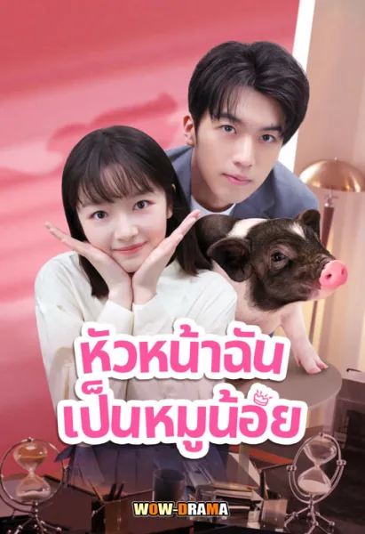 My Piggy Boss (2024) หัวหน้าฉันเป็นหมูน้อย พากย์ไทย (END) โปสเตอร์