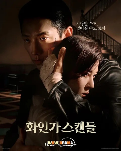 Red Swan (2024) ซับไทย EP.1-10 END โปสเตอร์