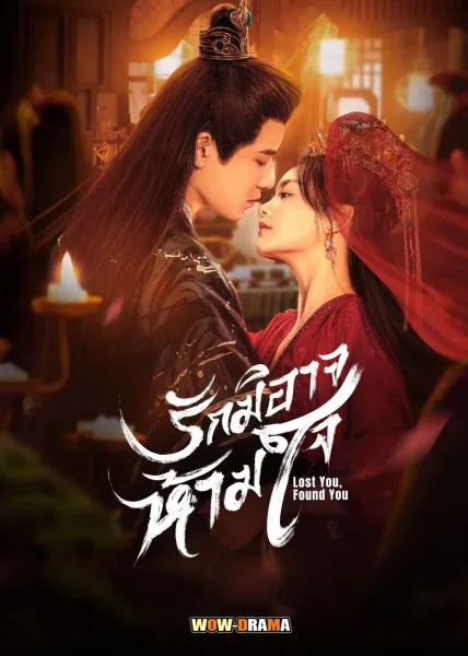 Lost You, Found You รักมิอาจห้ามใจ ซับไทย ตอนที่ 1-20 จบ โปสเตอร์