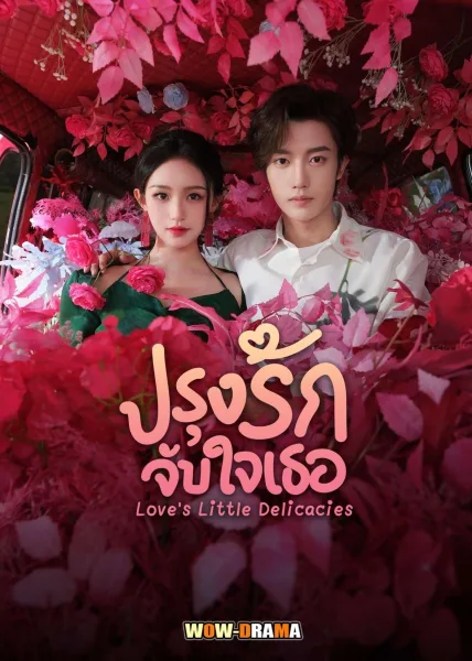 ปรุงรักจับใจเธอ Love’s Little Delicacies (2024) ซับไทย จบ โปสเตอร์
