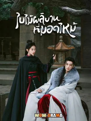 Kill Me Love Me (2024) ใบไม้ผลิบานที่มอดไหม้ โปสเตอร์
