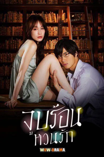 Blinded Kiss จูบร้อน หวนรัก พากย์ไทย ตอนที่ 1-10 (จบเรื่อง) โปสเตอร์