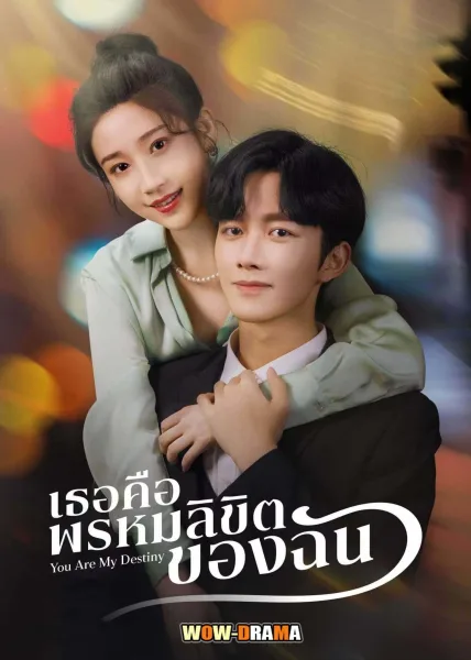 You Are My Destiny เธอคือพรหมลิขิตของฉัน โปสเตอร์