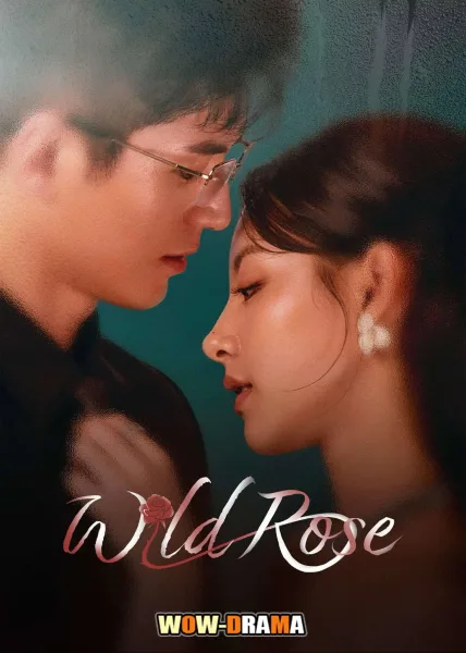 Wild Rose (2025) ทวงแค้นได้รัก ซับไทย EP.1-24 END โปสเตอร์