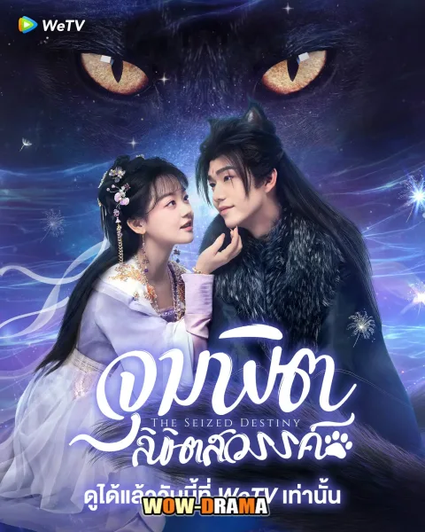 The Seized Destiny จุมพิตลิขิตสวรรค์ ซับไทย ตอนที่ 1-20 จบ โปสเตอร์