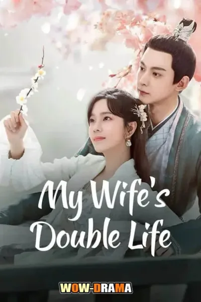 My Wife’s Double Life อุบายรัก ฮูหยินสองเงา โปสเตอร์