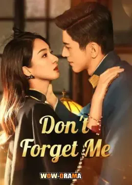 Don’t Forget Me (2024) รักไม่ลืมเลือน พากย์ไทย (จบเรื่อง) โปสเตอร์