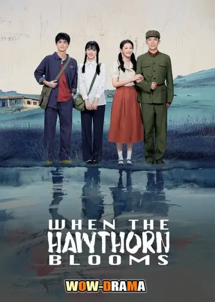 When The Hawthorn Blooms (2025) ซับไทย EP.1-18 END โปสเตอร์