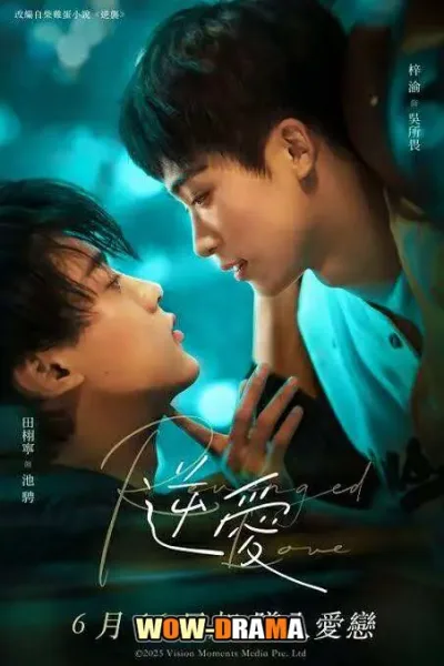 Revenged Love ศัตรูหัวใจ คือแฟนใหม่ผมเอง โปสเตอร์