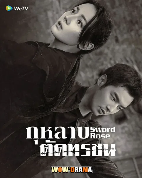 Sword Rose (2025) กุหลาบตัดทรชน ซับไทย ตอนที่ 1-32 จบ โปสเตอร์