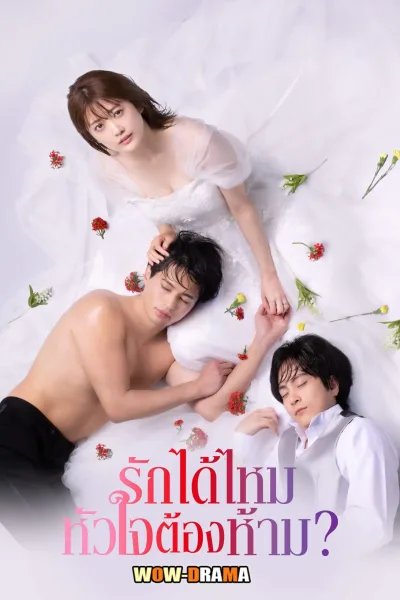 First Love Affair: Can I Call This My First Love? โปสเตอร์