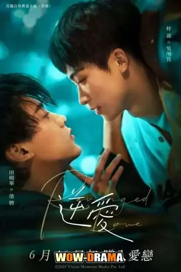 Revenged Love ศัตรูหัวใจ คือแฟนใหม่ผมเอง โปสเตอร์