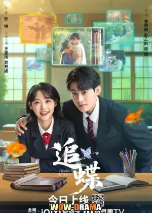Chasing Butterfly (2025) โปสเตอร์