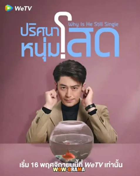 Why Is He Still Single (2025) ปริศนาหนุ่มโสด โปสเตอร์