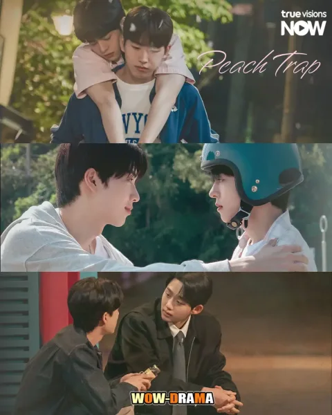 Peach Trap (2025) ซับไทย ตอนที่ 1-8 โปสเตอร์