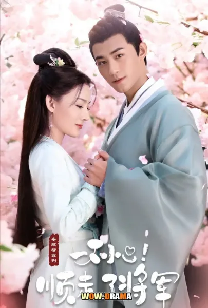 Follow My Dear General ปล่อยใจไปตามท่านแม่ทัพ โปสเตอร์