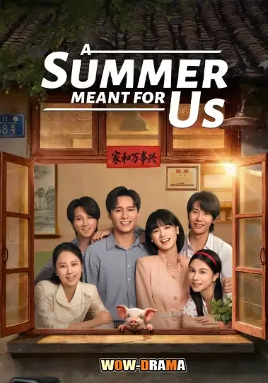 A Summer Meant for Us (2026) โปสเตอร์