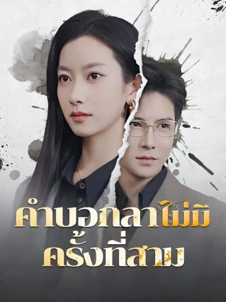 คำบอกลาไม่มีครั้งที่สาม โปสเตอร์