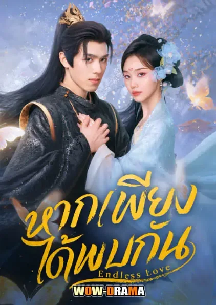 Endless Love (2026) หากเพียงได้พบกัน โปสเตอร์