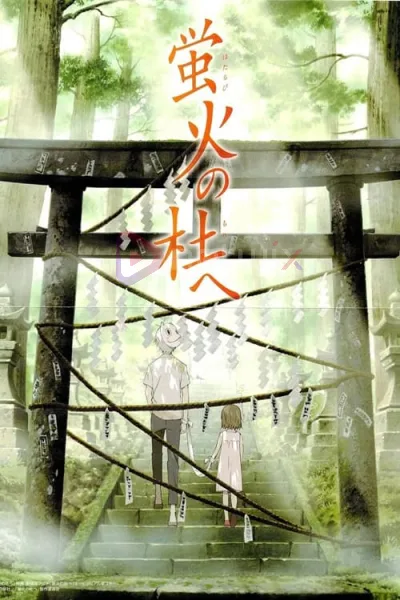 Hotarubi no Mori e (2011) สู่ป่าแห่งแสงหิ่งห้อย โปสเตอร์